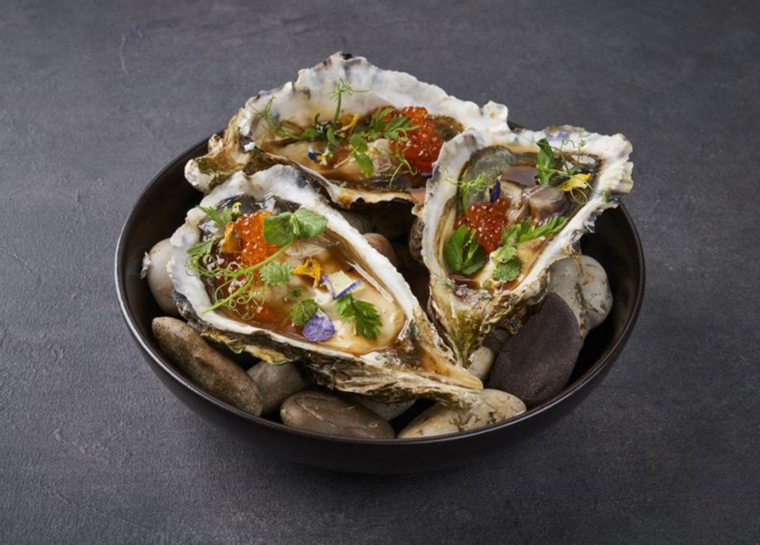Elfuego® - Credit Card Restaurant Offers