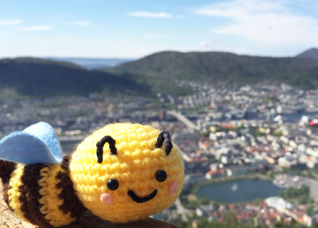 Bees Travel