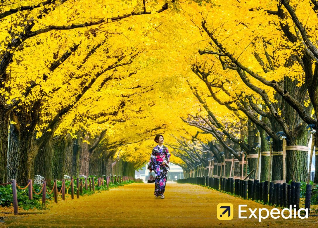 Expedia - Credit Card 旅行 Offers