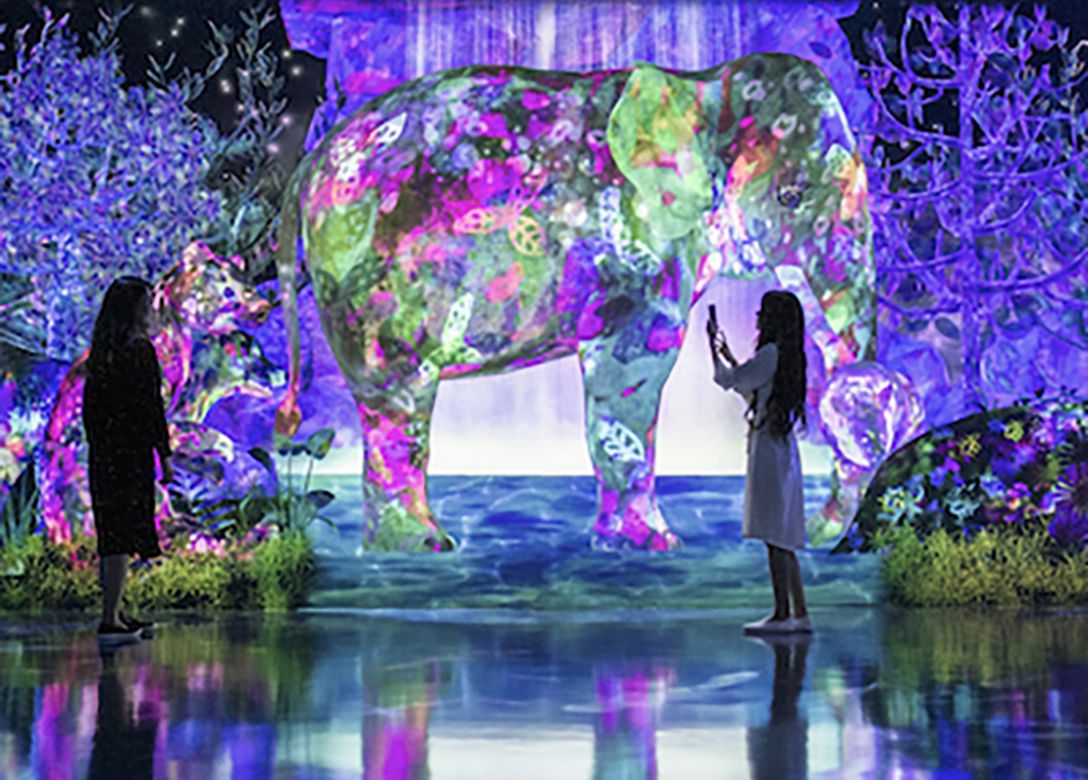 teamLab Forest Fukuoka - Credit Card Travel Offers