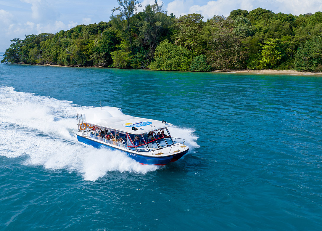 Albatross Speedboat Adventures