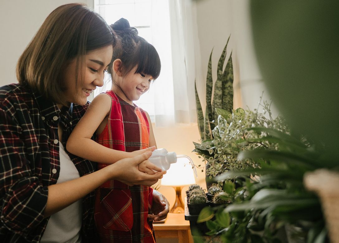 Geneco - Credit Card Lifestyle Offers
