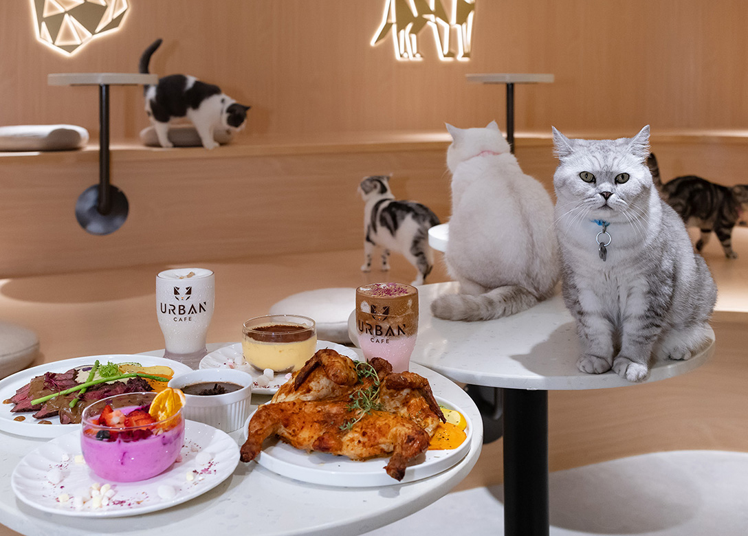 Urban Cafe - Credit Card Restaurant Offers