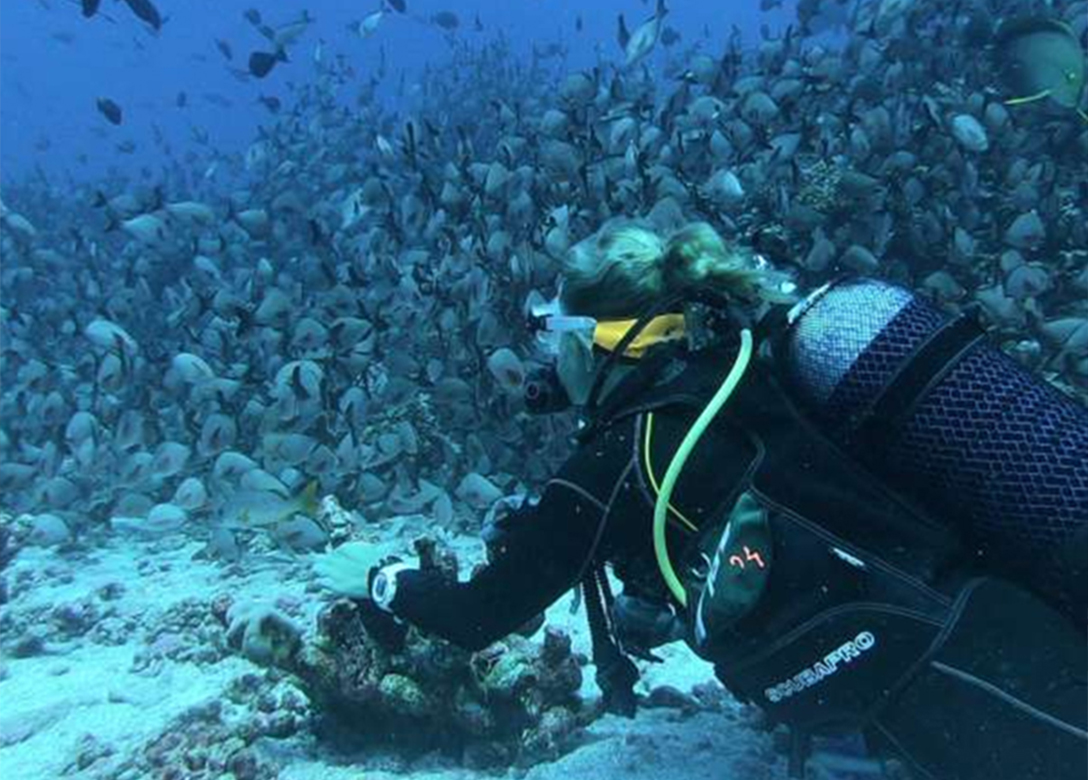 Blue Deep Diving Centre