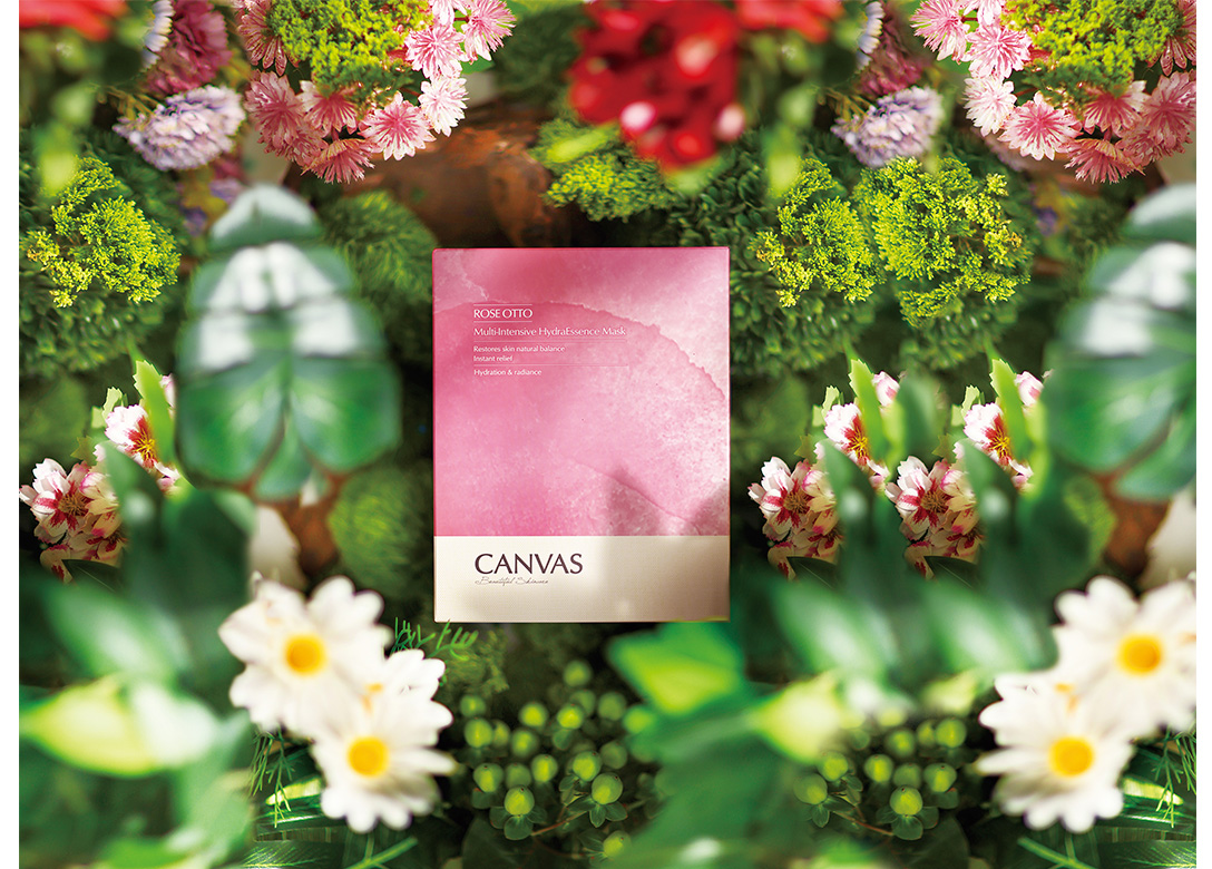 CANVAS - Credit Card Shopping Offers