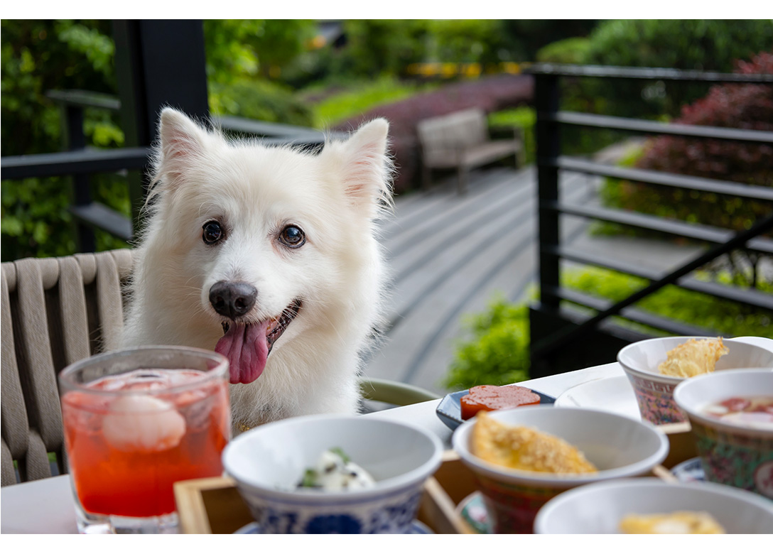 Si Chuan Dou Hua Restaurant, PARKROYAL on Beach Road