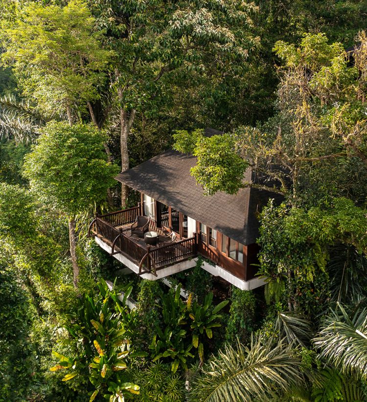 Be rewarded with Citi Mastercard at Homm