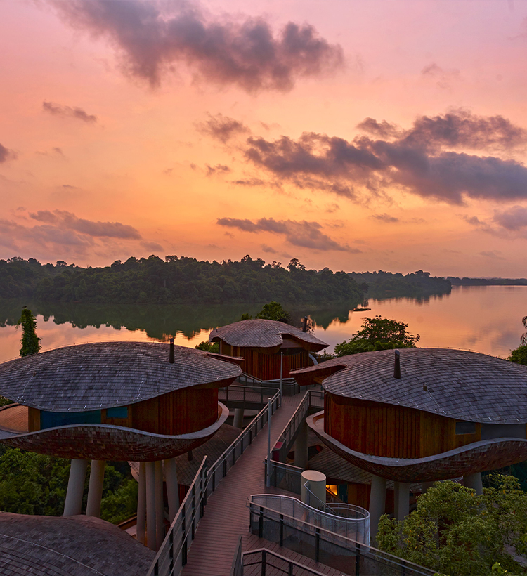 Mandai Rainforest Resort by Banyan Tree