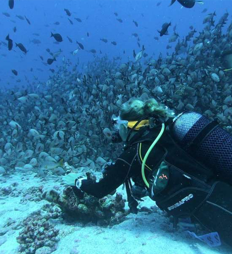 Blue Deep Diving Centre