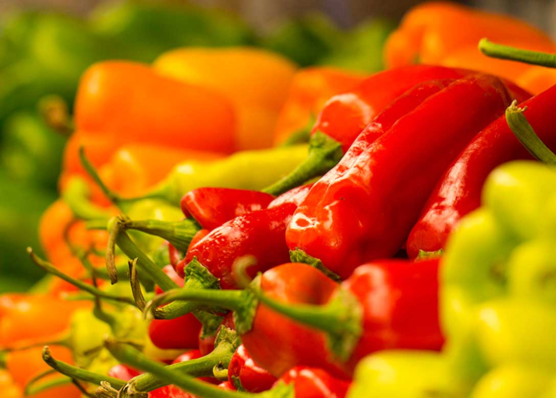 The FoodHall - Credit Card Shopping Offers